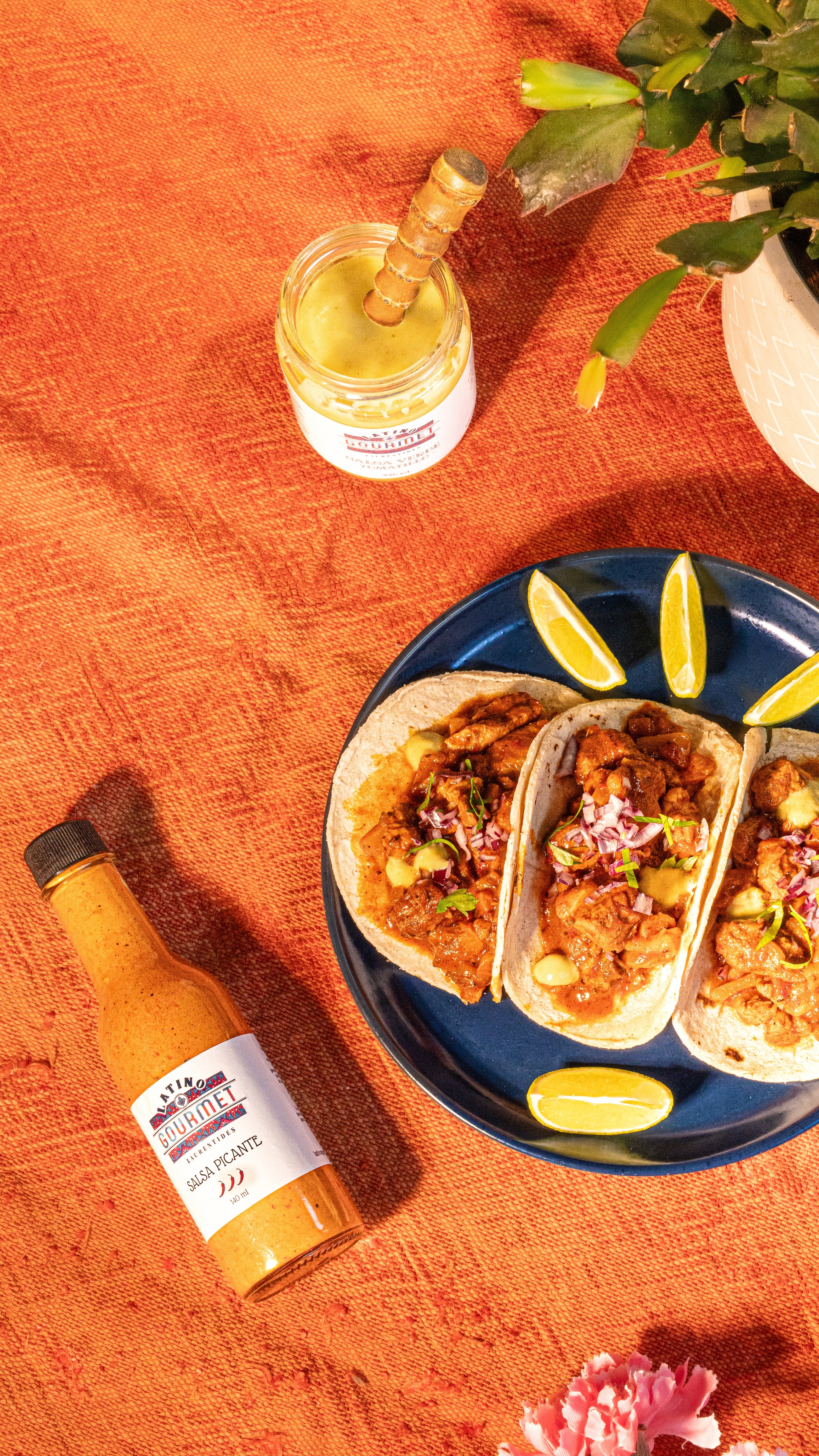 Porc Cuisine mexicaine